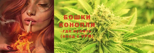 молекула духа Строитель