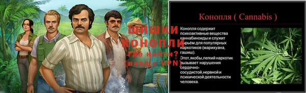 apvp Вязники